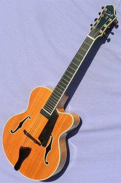 7 string jazz deals guitar